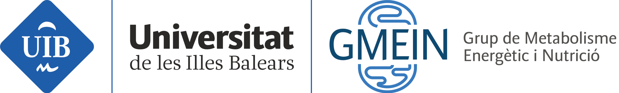 GMEIN